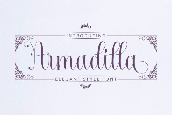 Armadilla: A Font That Elevates Your Brand