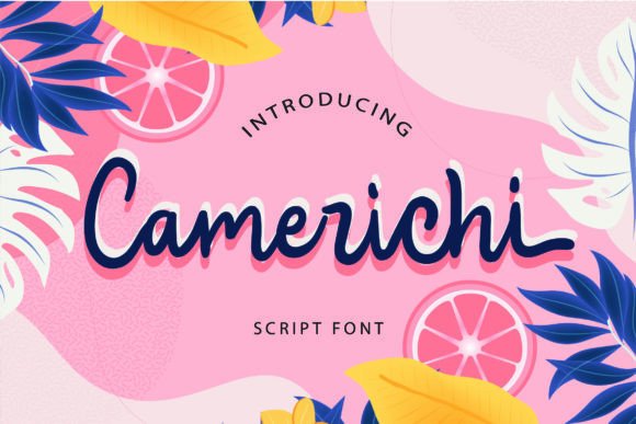 Camerichi: A Playful Script Font for Business