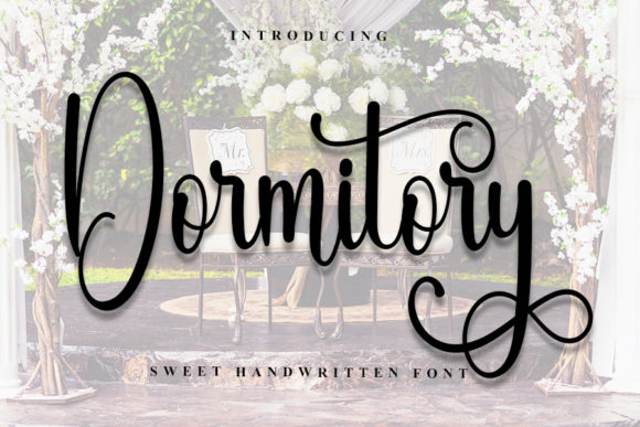 Dormitory Font: A Stylish Script for Web Design