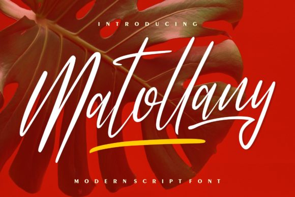 Matollany: A Script Font for Elegant Branding