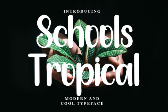 Schools Tropical: A Stylish Font for Creative Campaigns