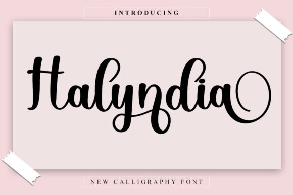 Upgrade Your Brand With Halyndia